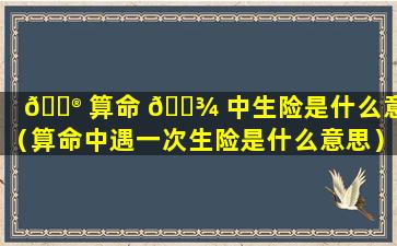 💮 算命 🌾 中生险是什么意思（算命中遇一次生险是什么意思）